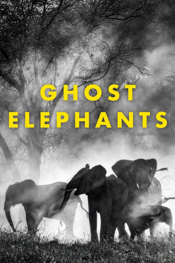 Ghost Elephants Movie (2026) | Release Date, Cast, Trailer, Songs ...