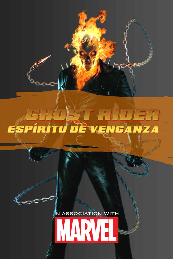 Ghost Rider: Spirit of Vengeance Poster 5