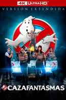 Ghostbusters Poster 5