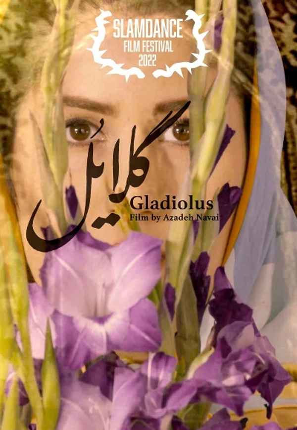 Gladiolus Poster 4