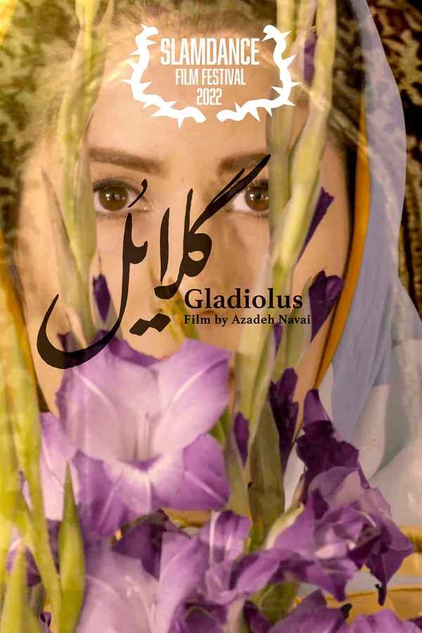 Gladiolus Poster 1