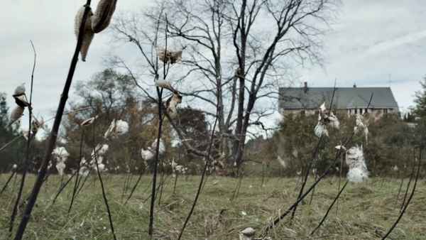 God Knows Where I Am Poster 4