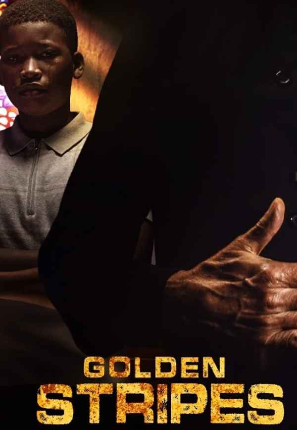 Golden Stripes Poster 3