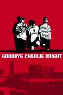 Goodbye Charlie Bright Poster 4