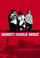 Goodbye Charlie Bright Poster 6