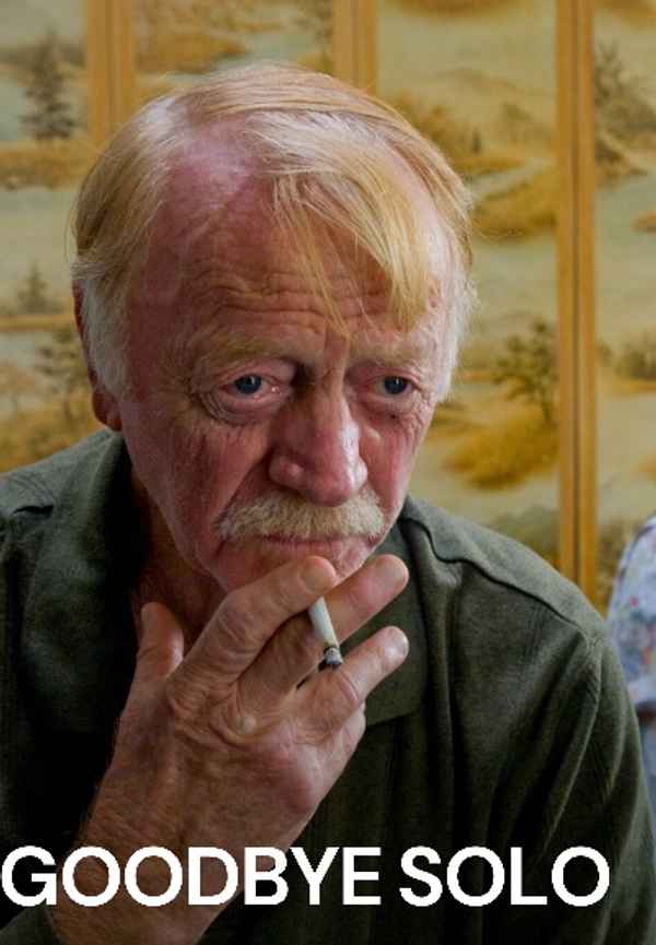 Goodbye Solo Poster 6