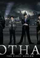 Gotham Poster 4