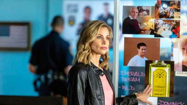 Gourmet Detective: Roux the Day Poster 5