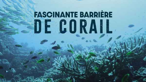 Great Barrier Reef with David Attenborough Poster 1