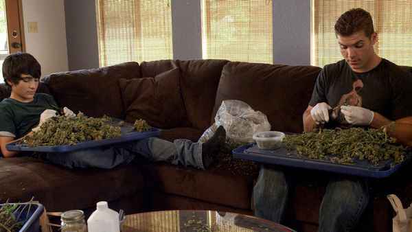 Green is Gold Poster 5