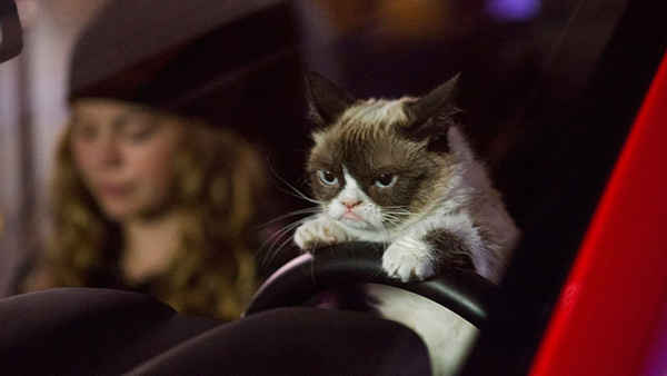 Grumpy Cat's Worst Christmas Ever Poster 4