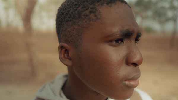 Guest Of The Woods Poster 4