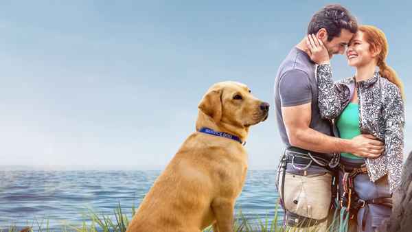 Guiding Emily Poster 1