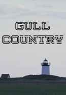 Gull Country Poster 2