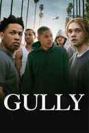 Gully Poster 6