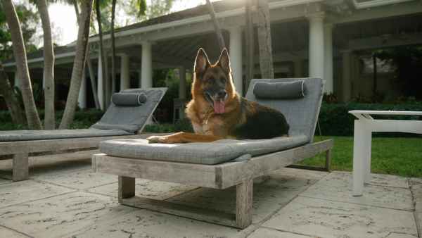 Gunther's Millions Poster 2