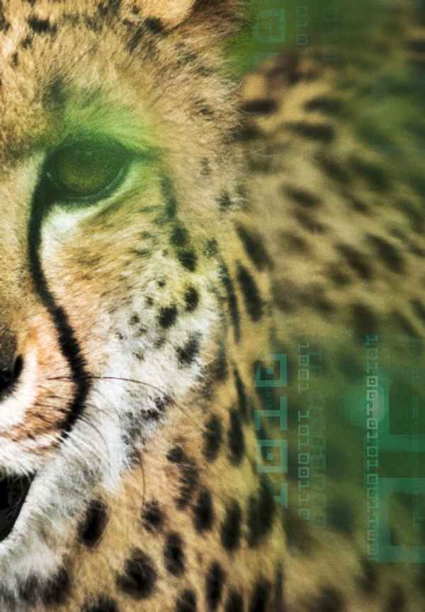 Hacking The Wild Poster 2