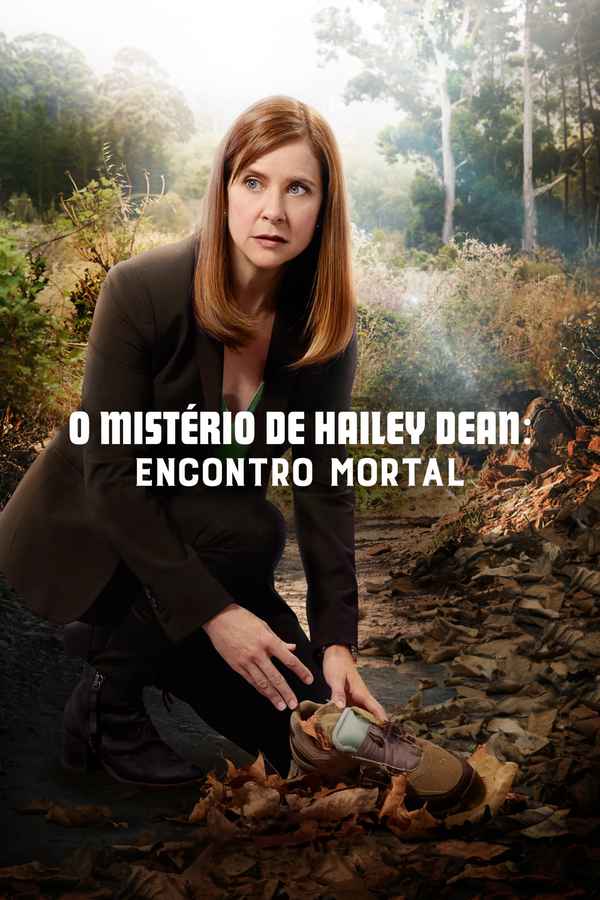 Hailey Dean Mysteries: Dating Is Murder Poster 1