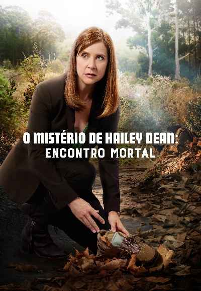 Hailey Dean Mysteries: Dating Is Murder