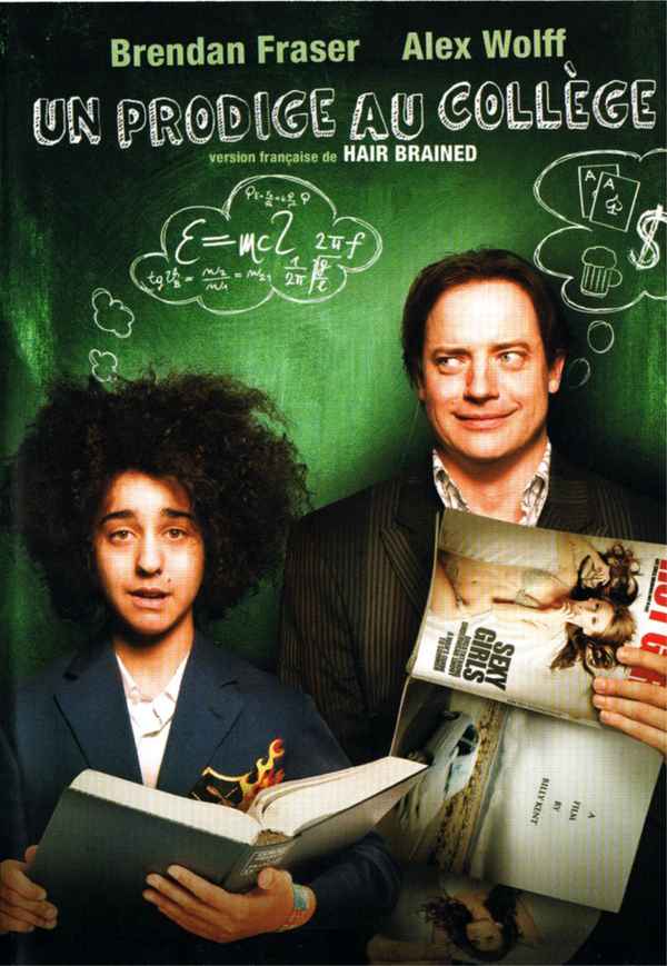 Hairbrained Poster 2