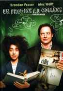 Hairbrained Poster 6