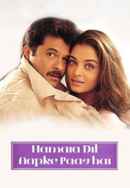Hamara Dil Aapke Paas Hai Poster 2
