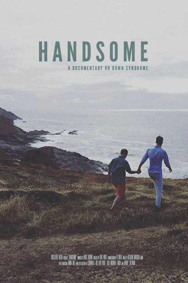 Handsome Poster 4