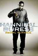 Hannibal Buress: Animal Furnace Poster 4