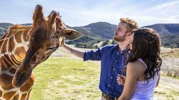 Harry & Meghan: A Royal Romance Poster 1