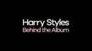 Harry Styles: Behind the Album Poster 2
