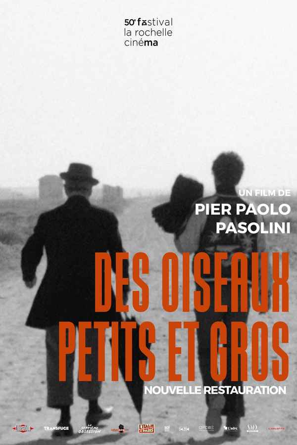 Hawks and Sparrows Poster 7