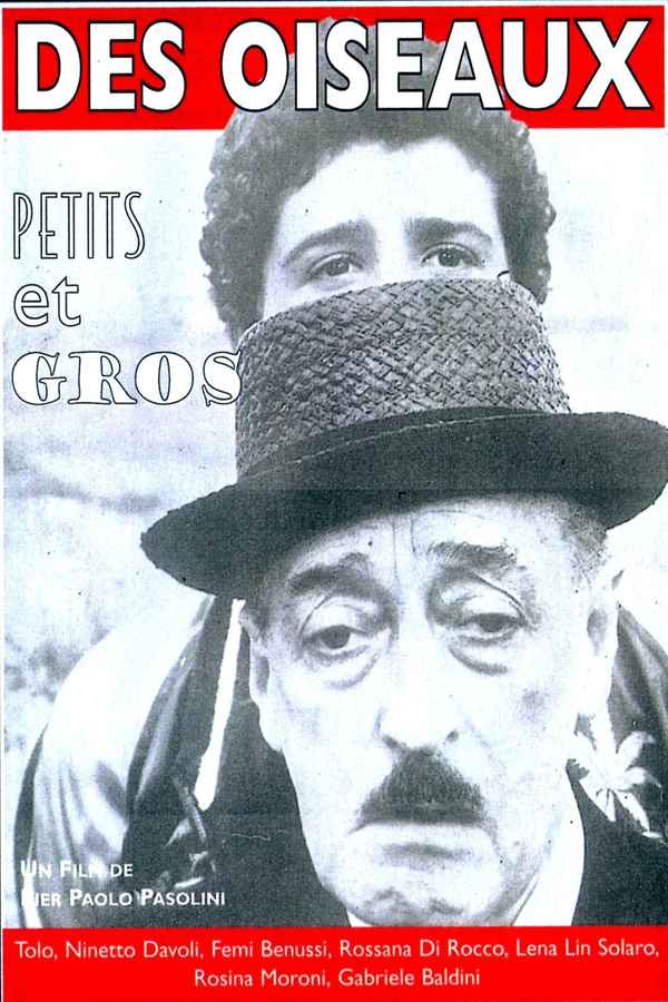 Hawks and Sparrows Poster 2