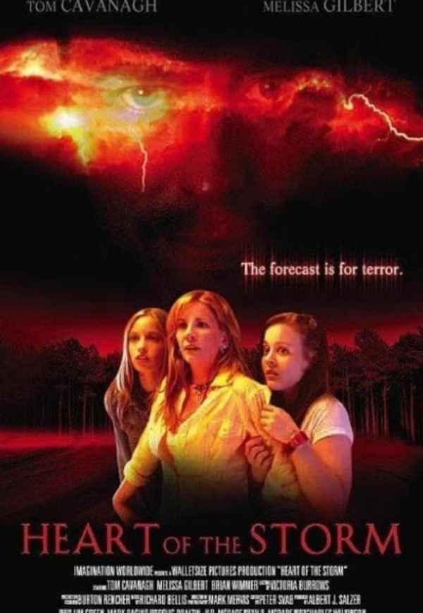 Heart of the Storm Poster 2