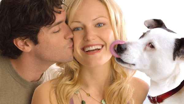 Heavy Petting Poster 1