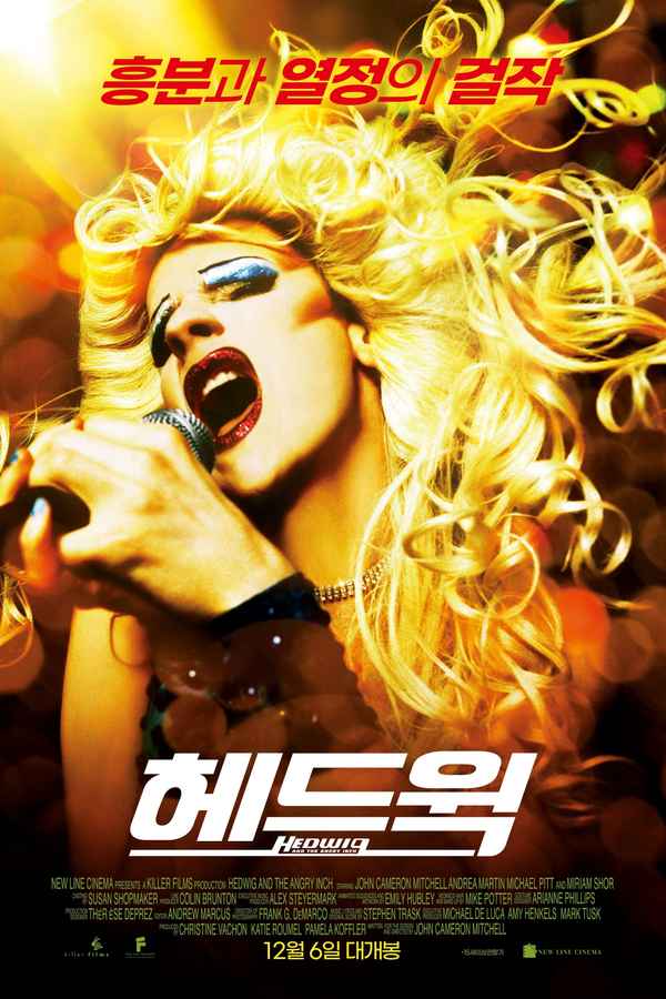 Hedwig and the Angry Inch Poster 2