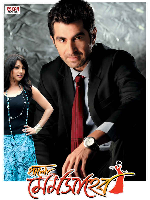 Hello Memsaheb Poster 4