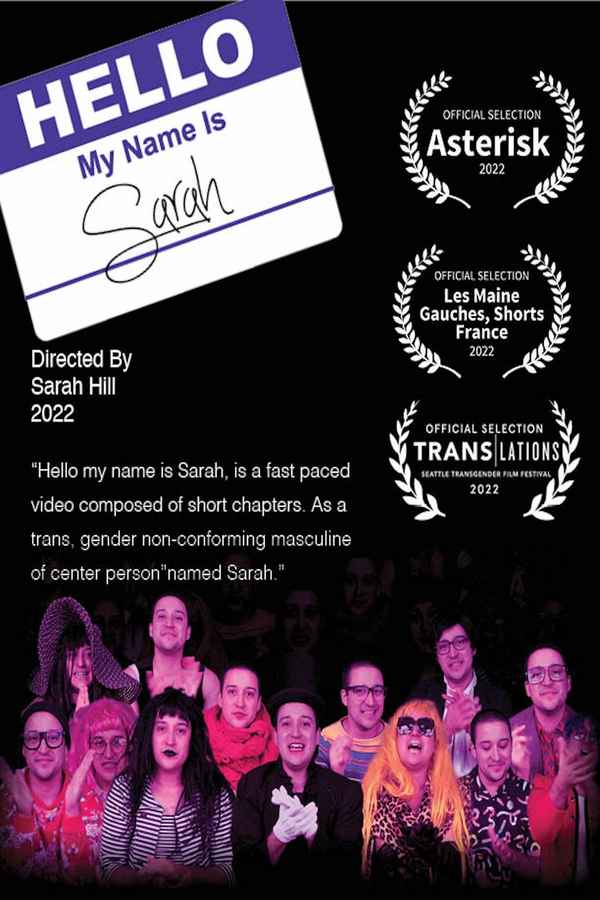 Hello My Name Is Sarah Poster 2