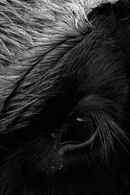 Her Name Was Europa Poster 3