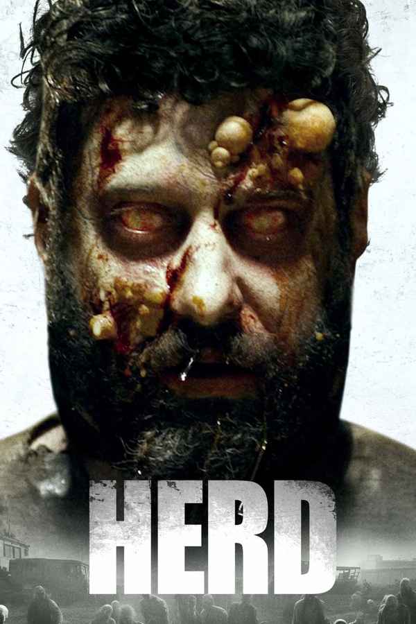Herd Poster 5