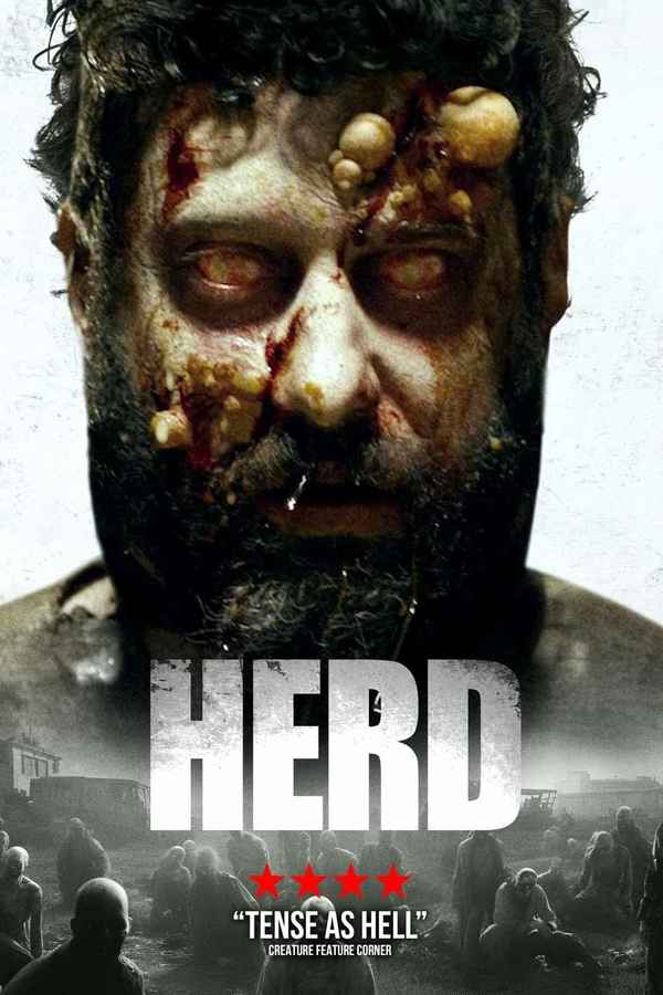 Herd Poster 7