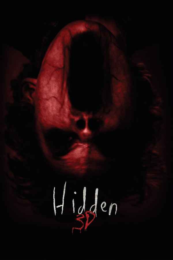 Hidden 3D Poster 5