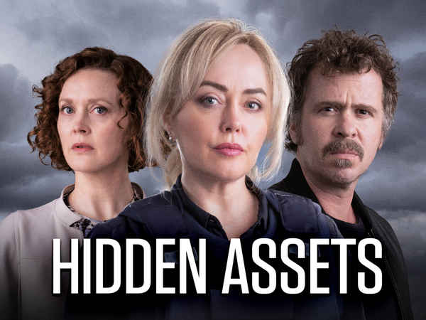 Hidden Assets Poster 2
