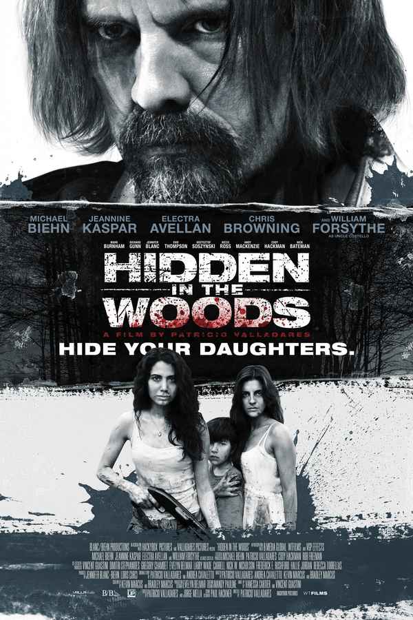 Hidden in the Woods Poster 1