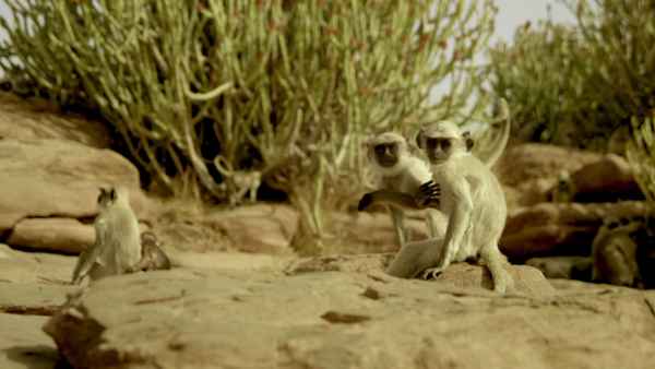 Hidden India Poster 2