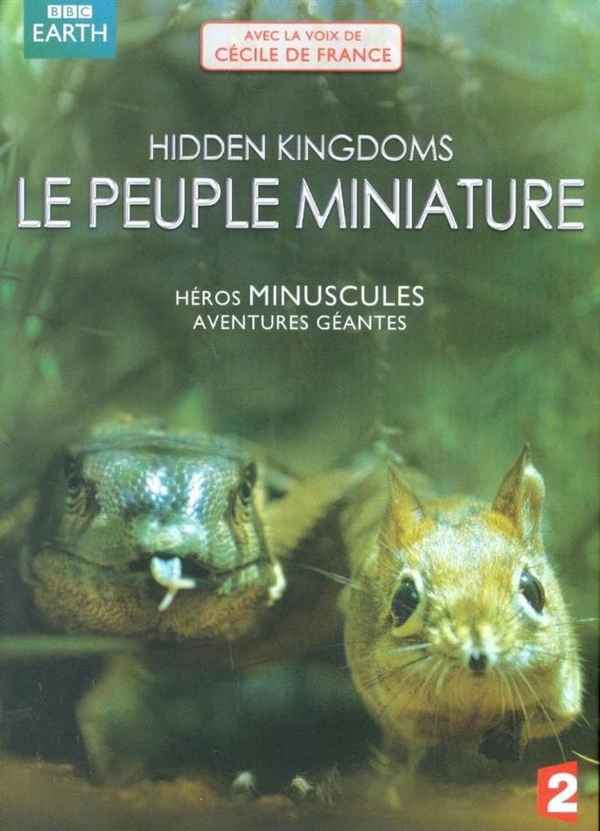 Hidden Kingdoms Poster 4