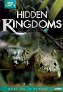 Hidden Kingdoms Poster 7