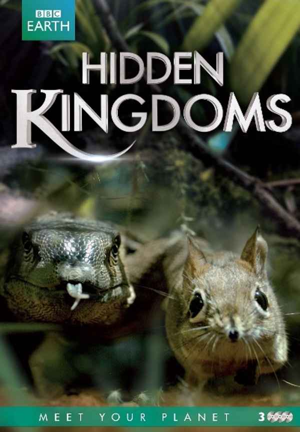 Hidden Kingdoms Poster 7