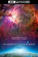 Hidden Universe Poster 4