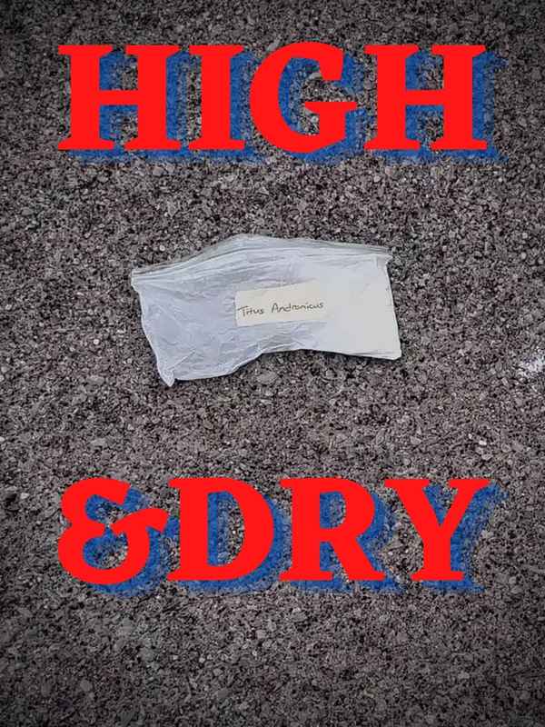High and Dry Poster 1