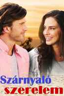 High Flying Romance Poster 7